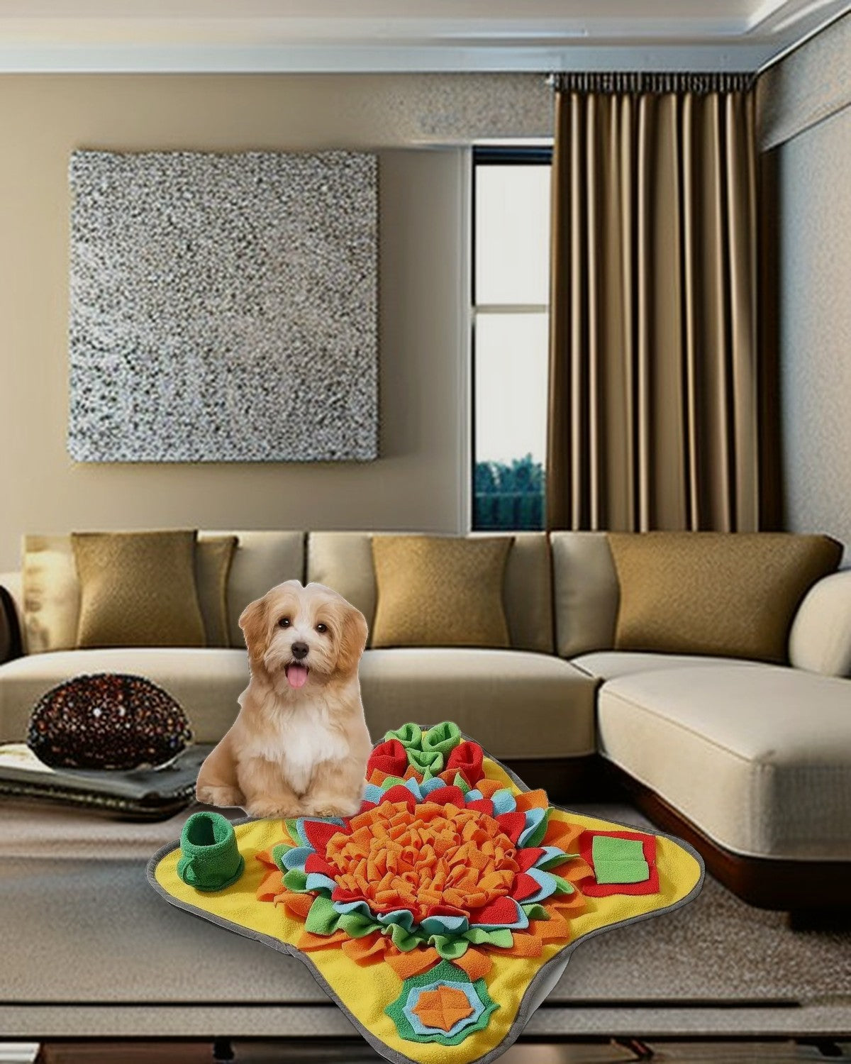 PawsPlanet pet accessories and essentials