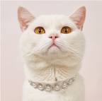 Pet Cat Collar Necklace Dog Collar Pearl Necklace Jewelry Pet Collar Pet Supplies Pet Supplies Dog Collar Gato Puppy Collar