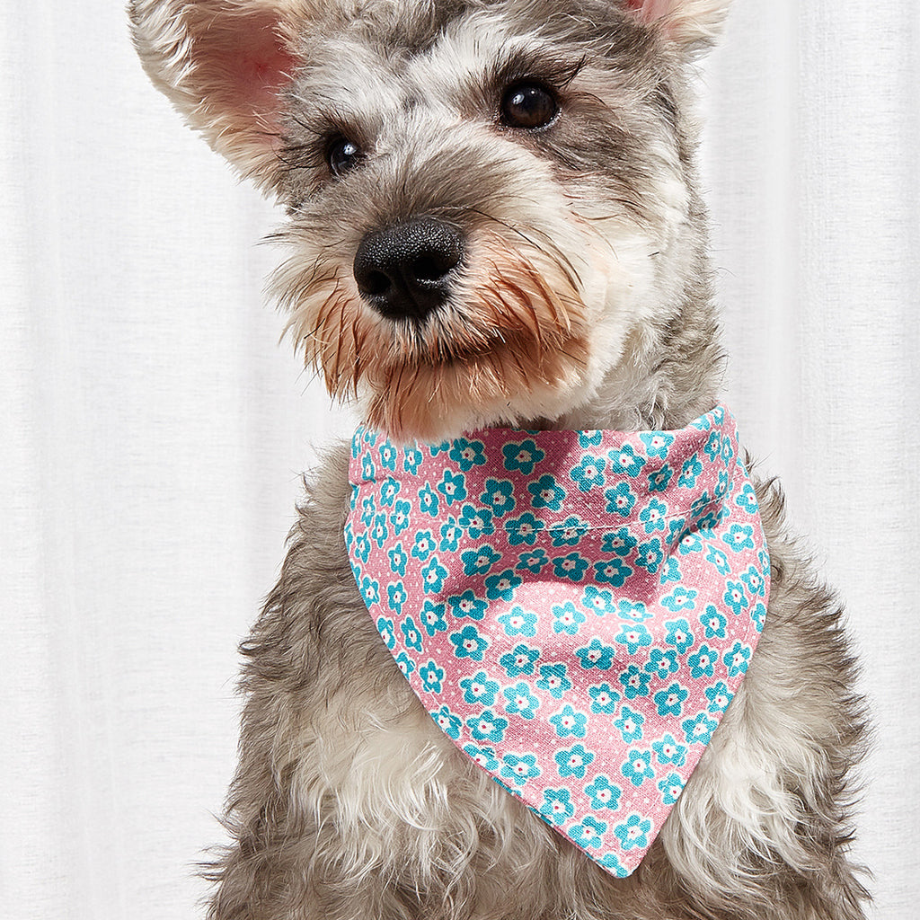 Pet Supplies Pet Saliva Towel Cartoon Pet Dog Collar Cat Triangle
