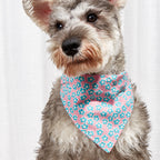 Pet Supplies Pet Saliva Towel Cartoon Pet Dog Collar Cat Triangle