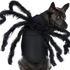 Halloween pet prop bat wings
