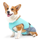 Pet Cooling Clothing Dog Clothing Pet Cooling