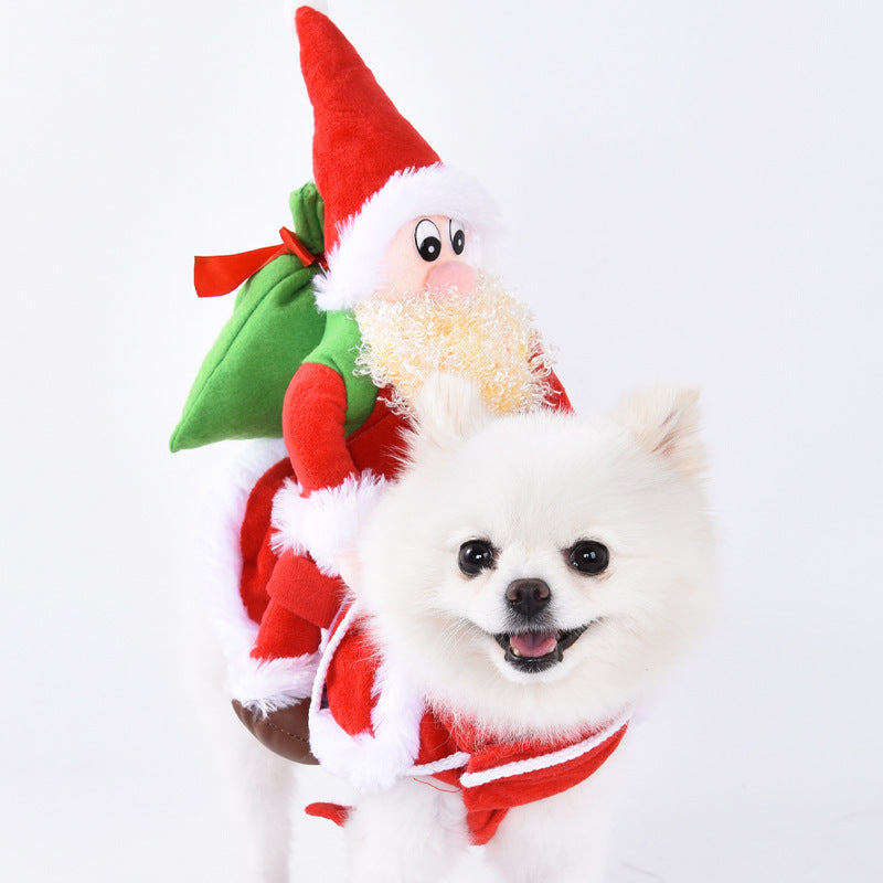 Pet Clothes Are Funny Take a Knife Transform Into a Pet Dog