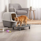 Smart Cat Litter Box Deodorizer Pet Odor Cleaning Remover Air