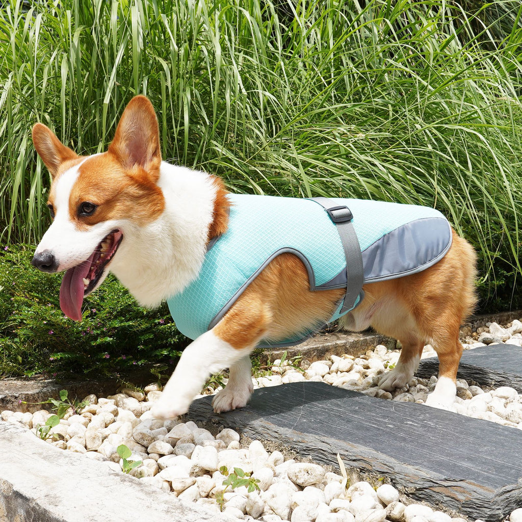 Pet Cooling Clothing Dog Clothing Pet Cooling