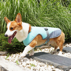 Pet Cooling Clothing Dog Clothing Pet Cooling