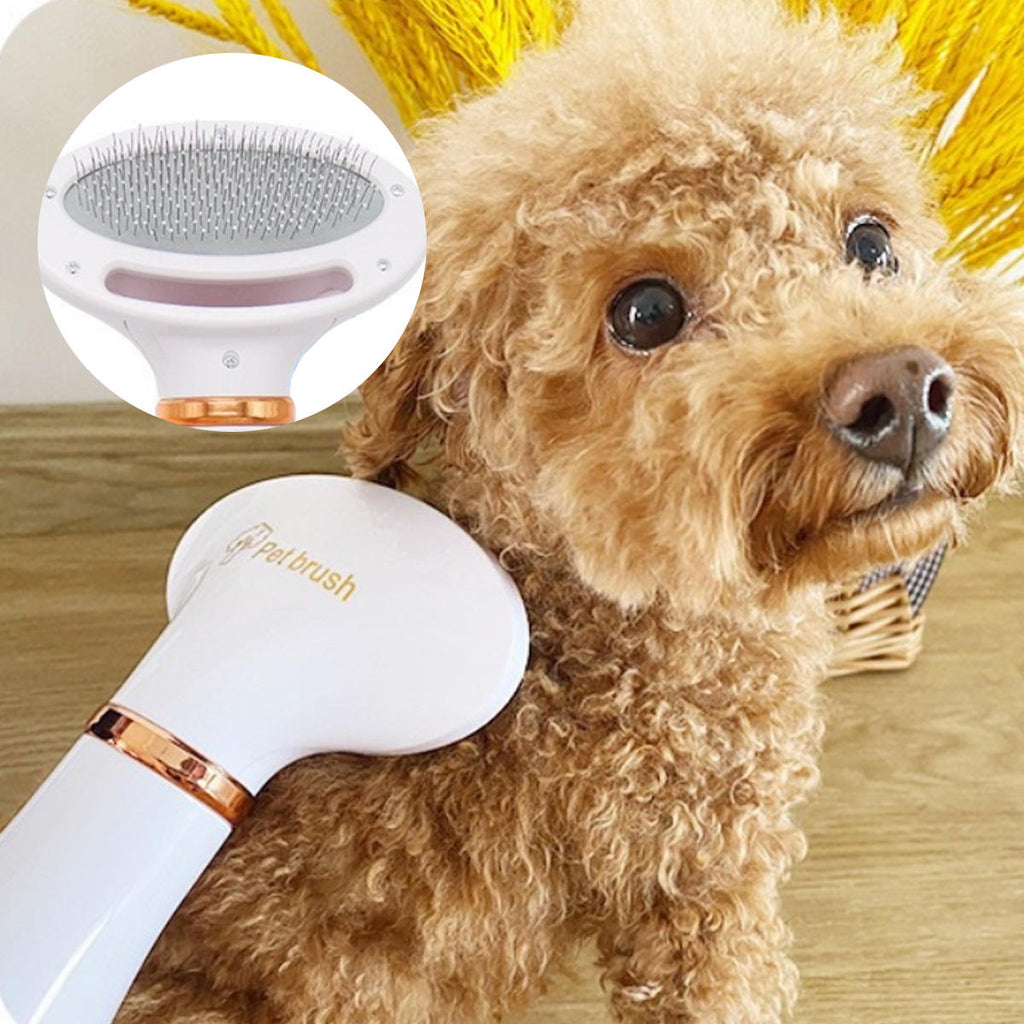Two-in-One Pet Hot Air Comb Pet Hair Dryer Blowing Hair Cleaning