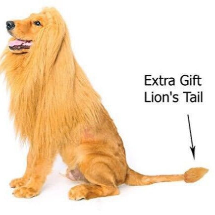 Pet Transformation Funny Dog Lion Wig Hat Pet Lion Headgear