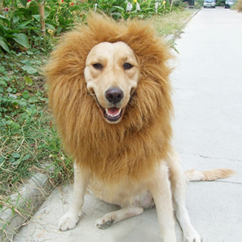 Pet Transformation Funny Dog Lion Wig Hat Pet Lion Headgear