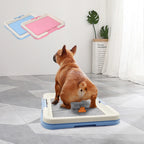 Portable Dog Training Toilet Indoor Dogs Potty Pet Toilet for