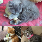 Simulation Fish Cat Toys Soft Plush Catnip Toy Interactive Cat