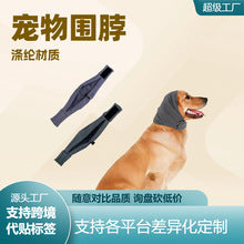 Dog and Cat Hair Storage Keychain