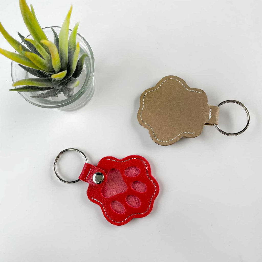 Dog and Cat Hair Storage Keychain