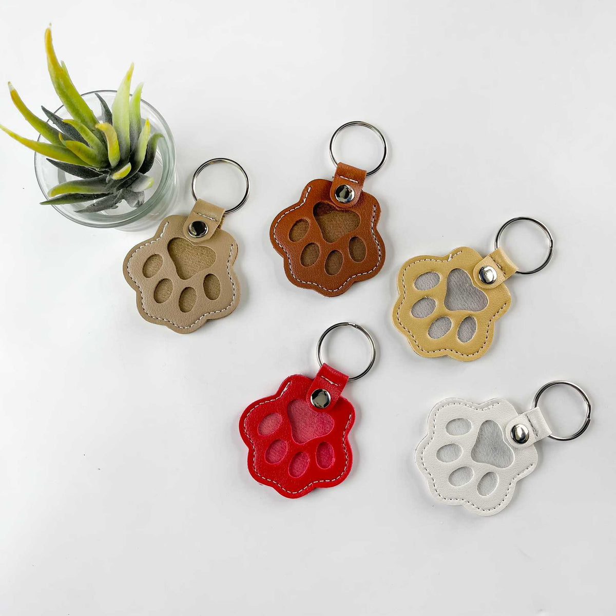 Dog and Cat Hair Storage Keychain