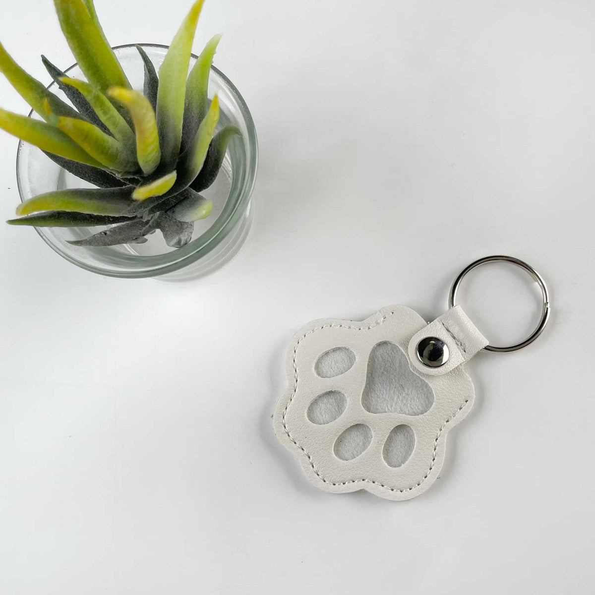 Dog and Cat Hair Storage Keychain