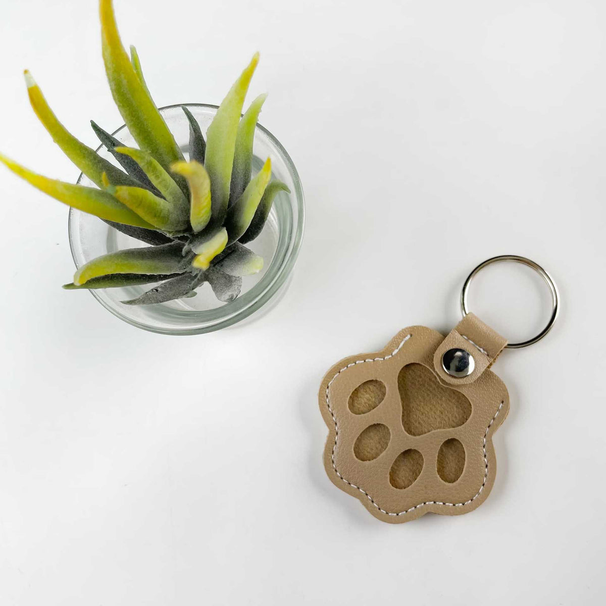 Dog and Cat Hair Storage Keychain