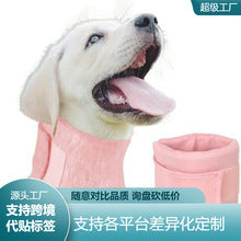 Dog and Cat Hair Storage Keychain