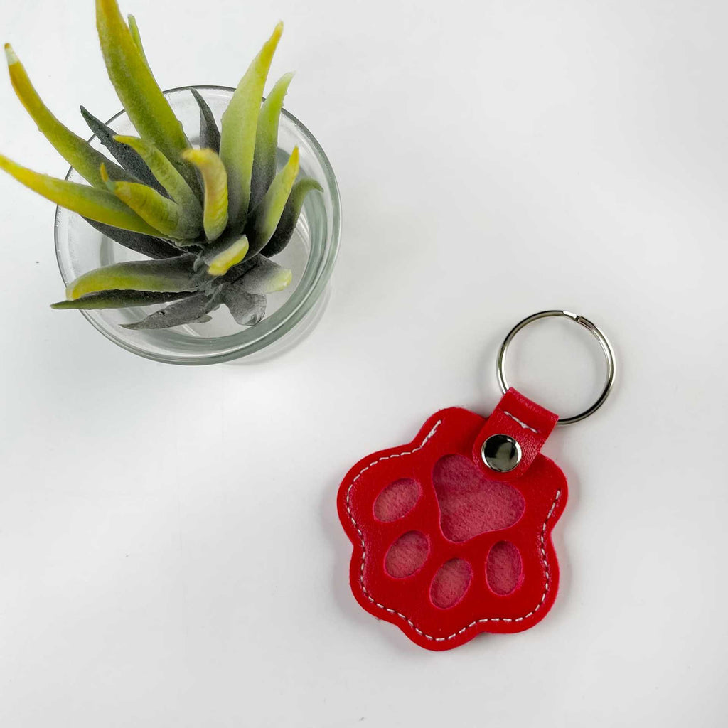 Dog and Cat Hair Storage Keychain