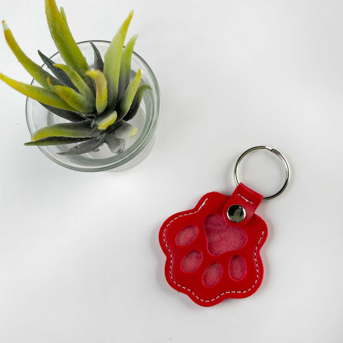 Dog and Cat Hair Storage Keychain