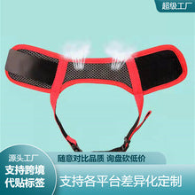 Dog and Cat Hair Storage Keychain