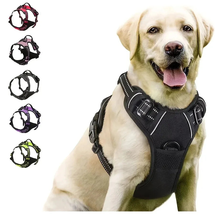 Dog Collars Harness Big Vests Leash Pet Shop Everything For Dogs