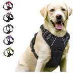 Dog Collars Harness Big Vests Leash Pet Shop Everything For Dogs