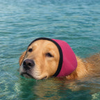 1Pc Head Cover For Dogs To Alleviate Anxiety, Innerly Calming