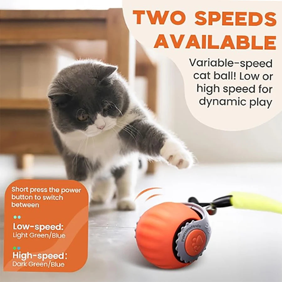 Interactive Cat Toy Ball Automatic Rolling Pet Toy USB
