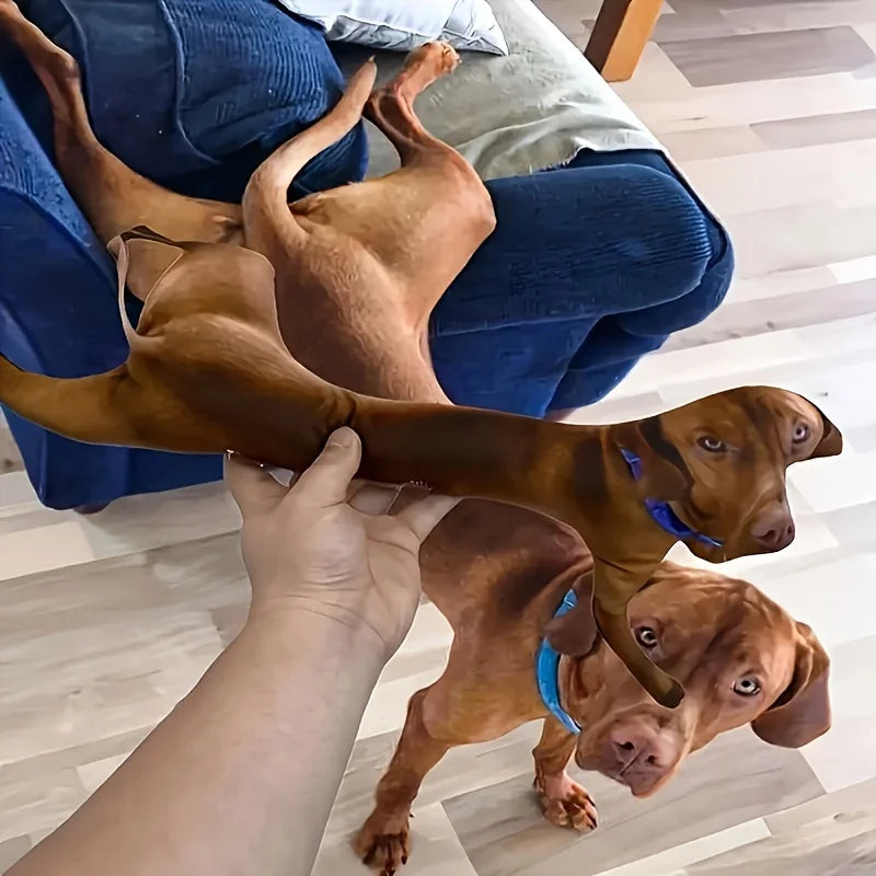 Customizable 3D Pet Pillow