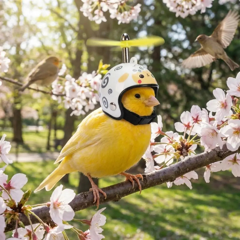 Sun Protection Pet Parrot Safety Helmet Waterproof Motorcycle