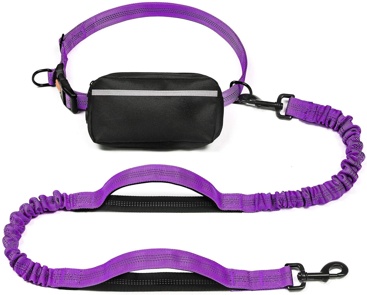 Adjustable Hands-Free Bungee Dog Leash