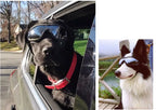 Transparent Color Pet Dog Goggles Waterproof Windproof Sunscreen