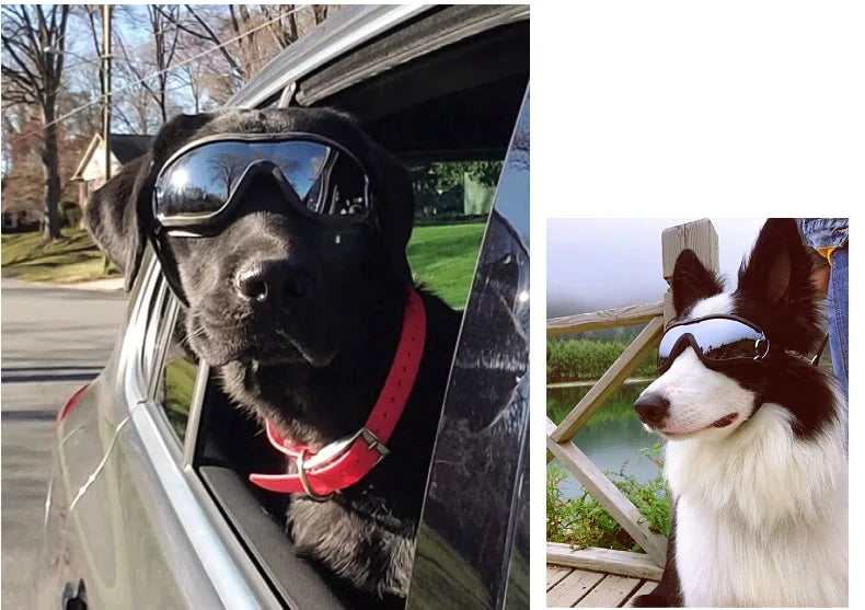 Transparent Color Pet Dog Goggles Waterproof Windproof Sunscreen