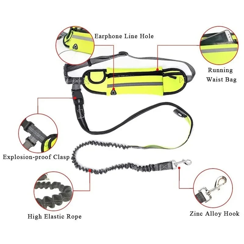 Adjustable Hands-Free Bungee Dog Leash