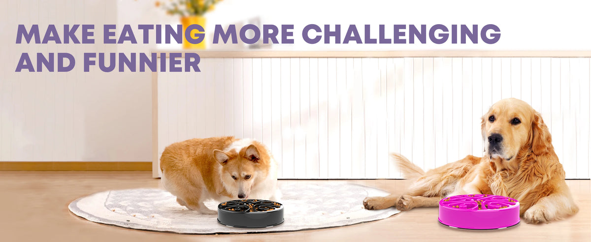 Pet Dog Slow Feeder Bowl Fun Non Slip Anti-Gulping Slower Food
