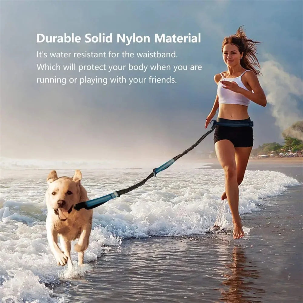 Adjustable Hands-Free Bungee Dog Leash