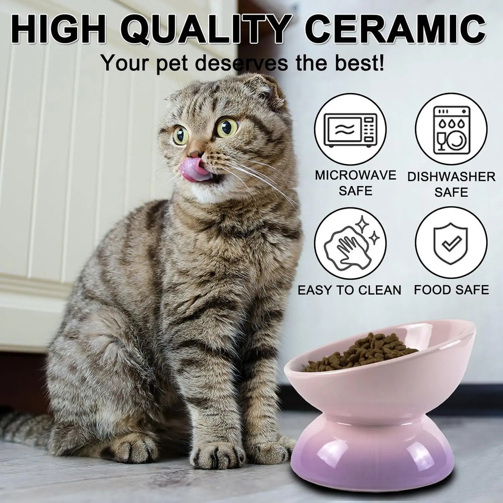 Ceramic Elevated Cat Bowls Tilted Cat Food Bowl Dish Pet Feeder