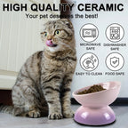 Ceramic Elevated Cat Bowls Tilted Cat Food Bowl Dish Pet Feeder