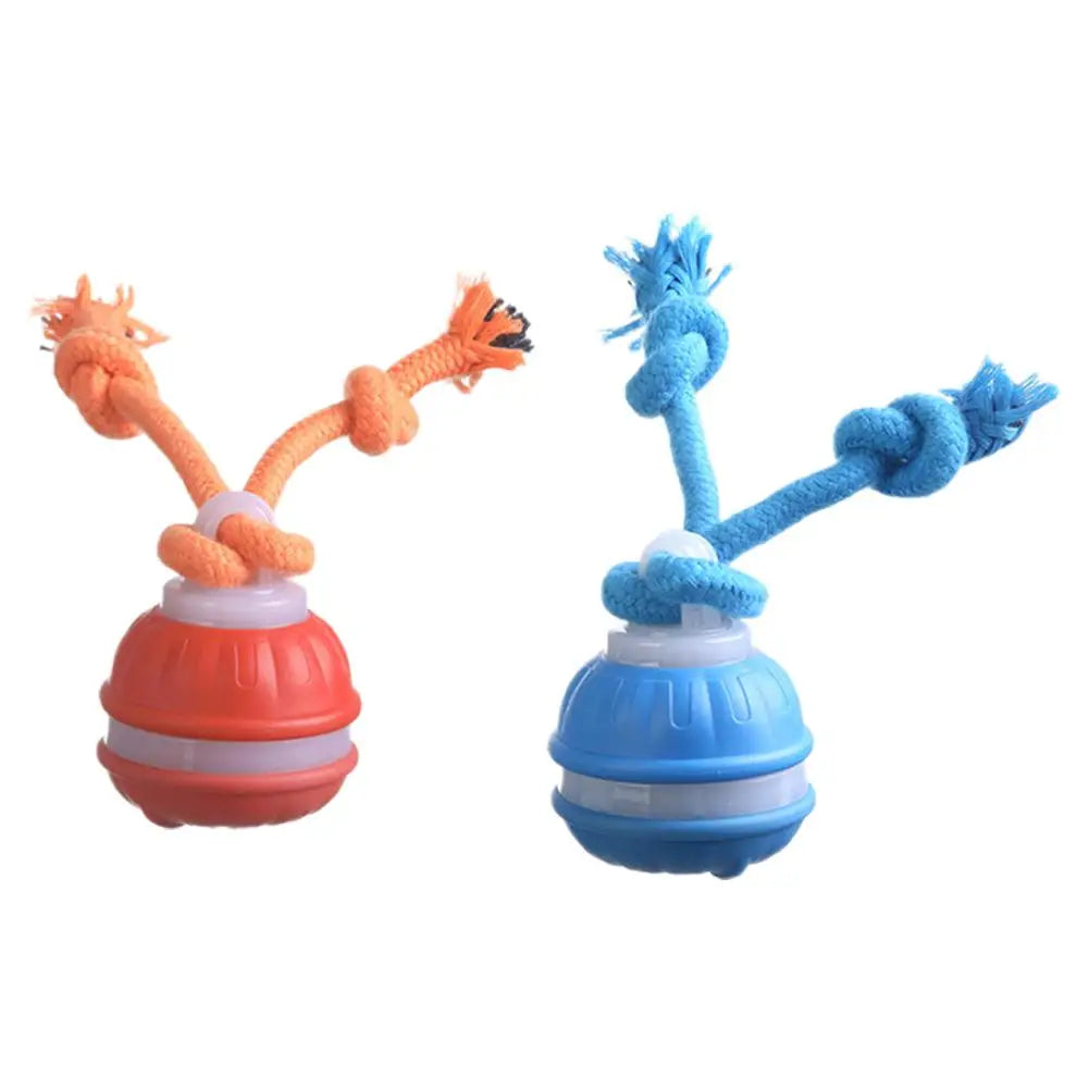 Pet Ball Interactive Toys for Dogs Motion Activate Rolling Ball