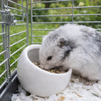 Ceramic Hamster Food Bowl Anti-Rollover Non-Slip Pet Feeding Bowl