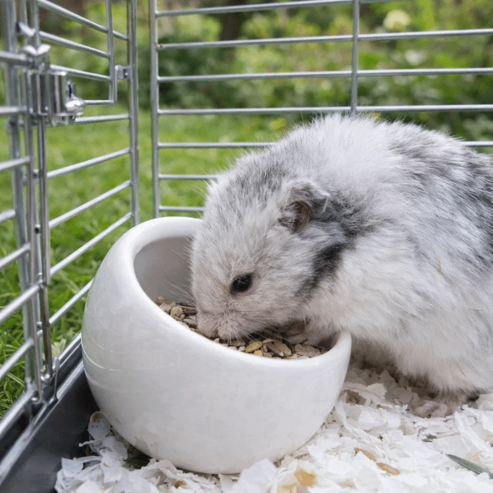 Ceramic Hamster Food Bowl Anti-Rollover Non-Slip Pet Feeding Bowl