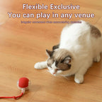 Cat Interactive Ball Toys Automatic Rolling Ball Faux Tail