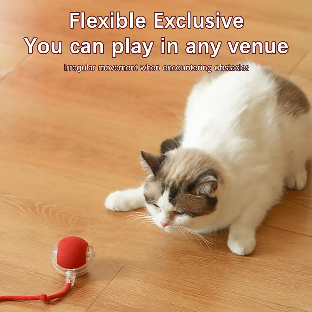 Cat Interactive Ball Toys Automatic Rolling Ball Faux Tail
