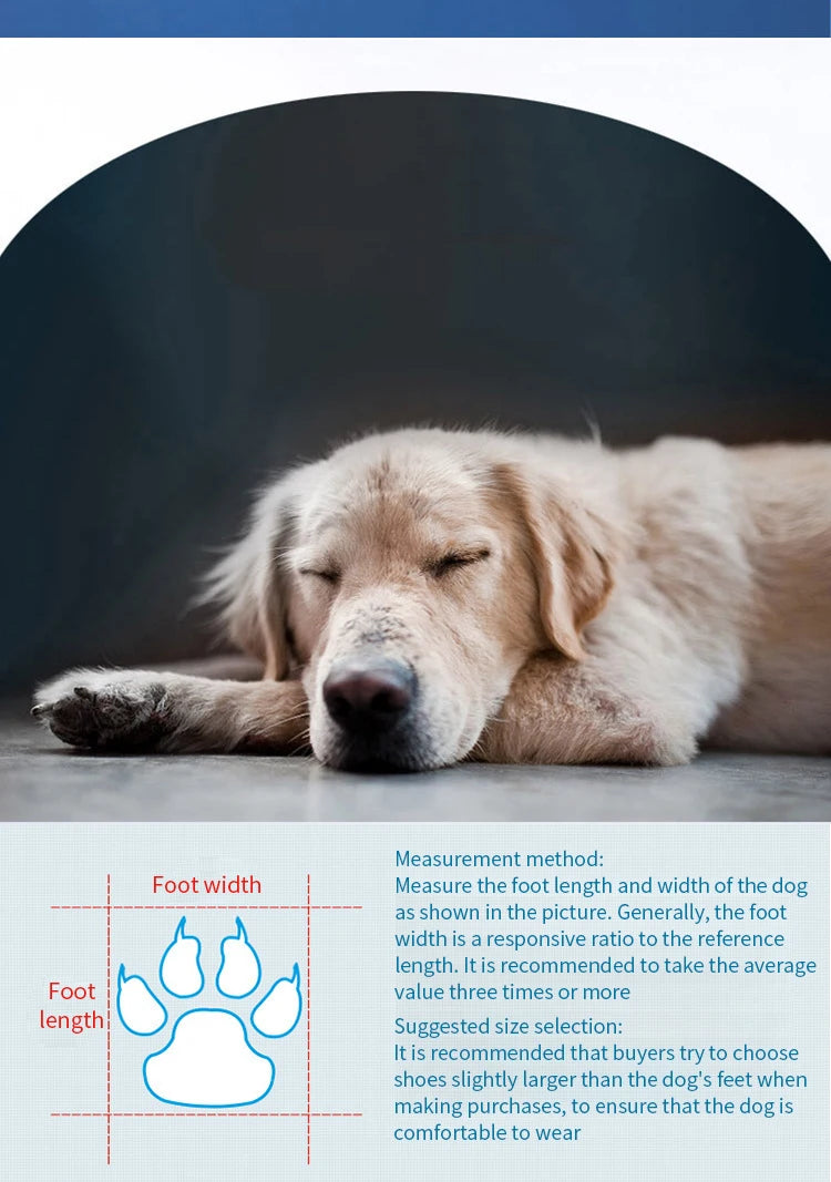 All-Weather Paw Booties