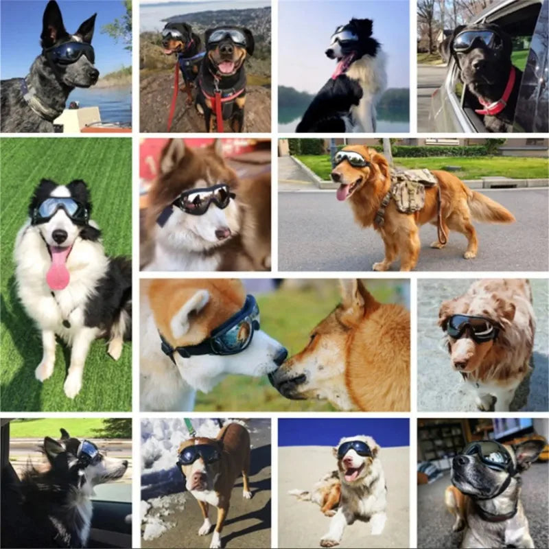 Transparent Color Pet Dog Goggles Waterproof Windproof Sunscreen
