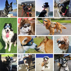 Transparent Color Pet Dog Goggles Waterproof Windproof Sunscreen