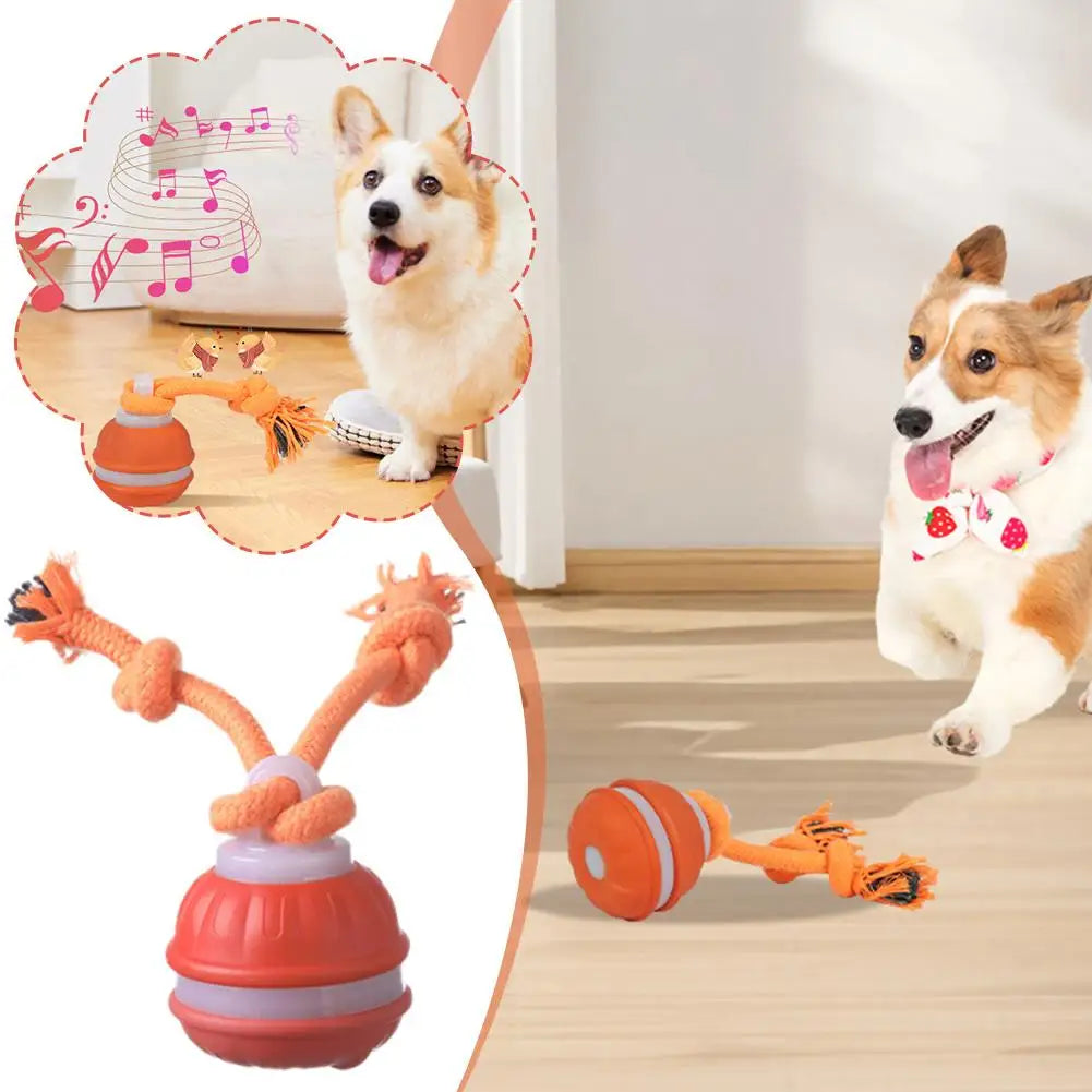 Pet Ball Interactive Toys for Dogs Motion Activate Rolling Ball