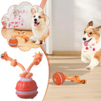 Pet Ball Interactive Toys for Dogs Motion Activate Rolling Ball