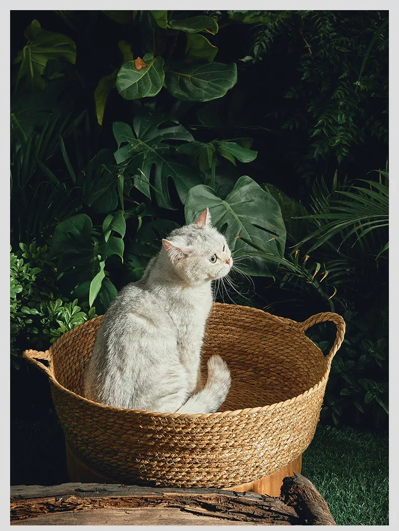 Ouzey Rattan Weaving Basket For Cat Comfortable Sleeping Pet Dog