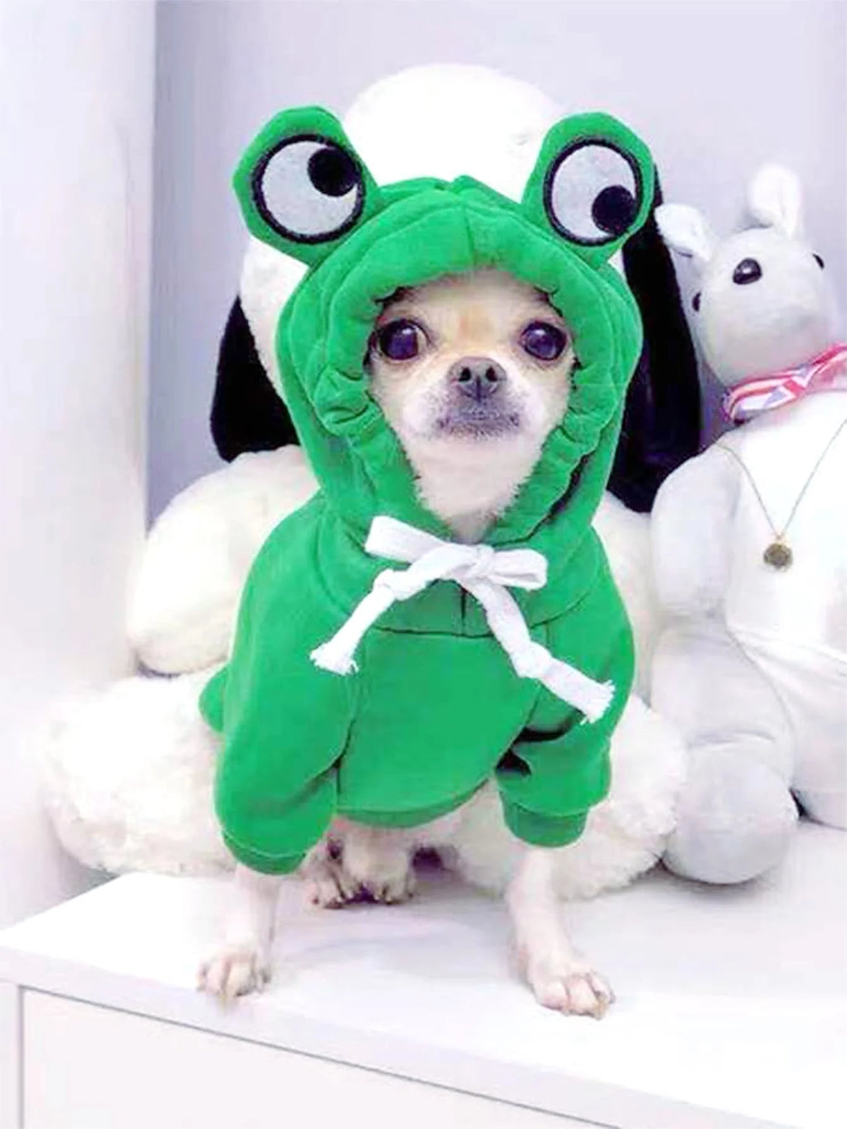 Cute Frog Hoodie for Small and Medium Dogs